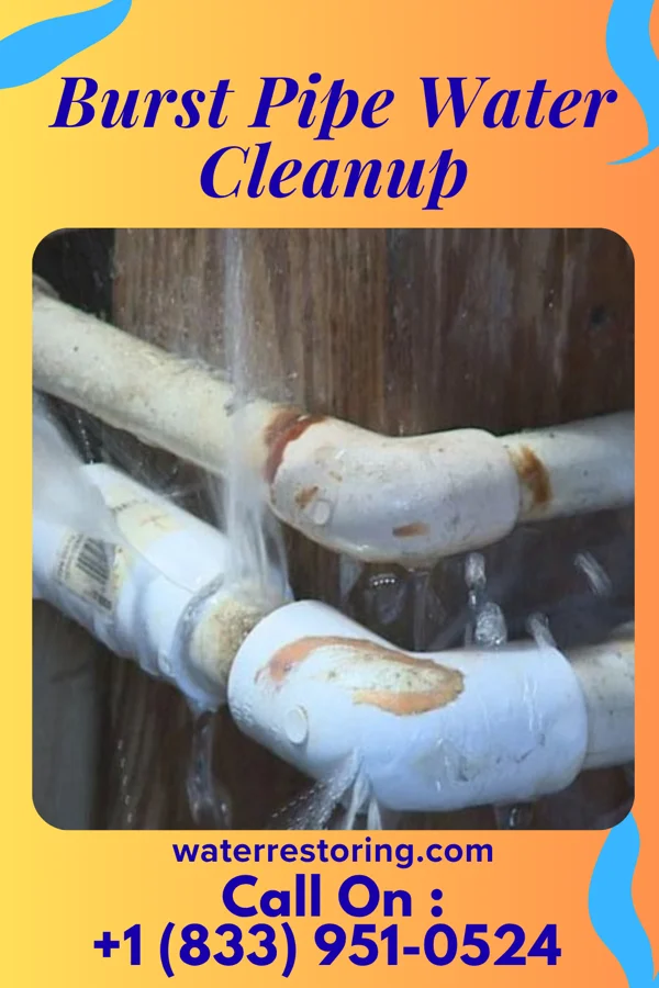 Burst Pipe Water Cleanup in Ardmore, TN
