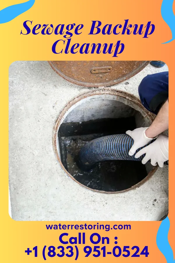 Sewage Backup Cleanup in Ardmore, TN