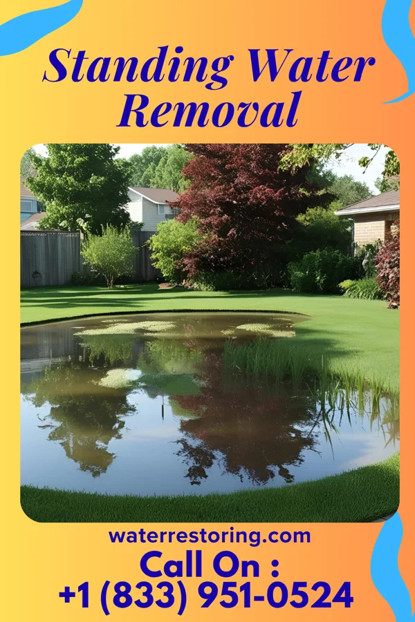 Standing Water Removal in Ardmore, TN
